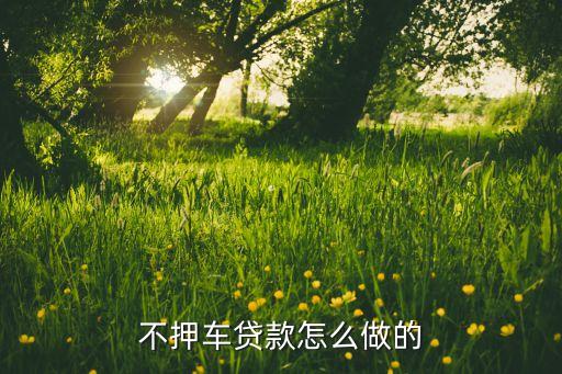 車子抵押貸款不押車(抵押車貸款風險大嗎)? (http://www.xifuyun.com/) 知識問答 第1張
