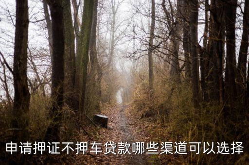 車子抵押貸款不押車(抵押車貸款風險大嗎)? (http://www.xifuyun.com/) 知識問答 第3張