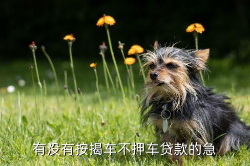 車子抵押貸款不押車(抵押貸款的車)? (http://www.xifuyun.com/) 知識(shí)問答 第1張