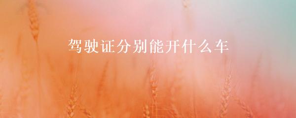 民間貸款公司(民間借貸的公司)? (http://www.xifuyun.com/) 知識問答 第3張