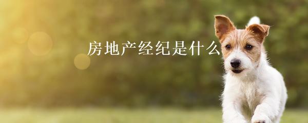 民間貸款公司(民間借貸的公司)? (http://www.xifuyun.com/) 知識問答 第22張