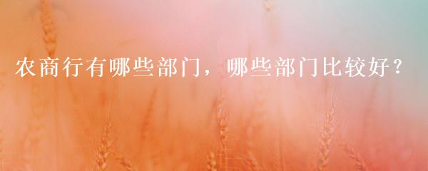 民間貸款公司(民間借貸的公司)? (http://www.xifuyun.com/) 知識問答 第25張