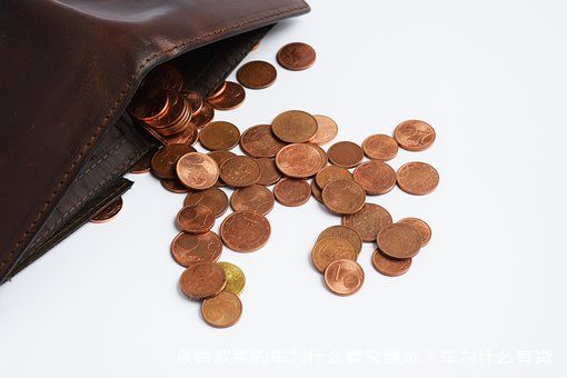拿車的綠本怎么貸款(貸款車綠本拿到手了該怎么辦)? (http://www.xifuyun.com/) 知識問答 第1張