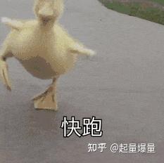 小額貸款5000急用(小額貸款五千)? (http://www.xifuyun.com/) 知識問答 第2張