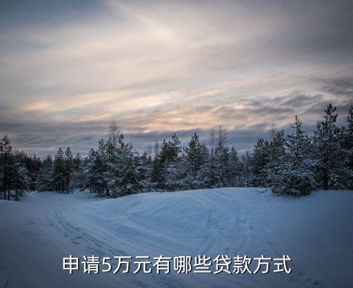 怎么能貸款5萬(能貸款的平臺有哪些)? (http://www.xifuyun.com/) 知識問答 第1張