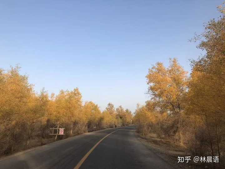 有車就能申請的網貸(有網貸買車貸款能批下來嗎)? (http://www.xifuyun.com/) 知識問答 第1張