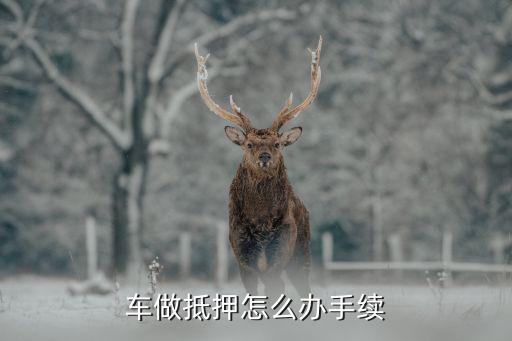 辦理車輛抵押貸款需要什么資料(抵押貸款車輛辦理資料需要哪些)？ (http://www.xifuyun.com/) 知識問答 第1張