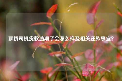 獅橋車抵貸(獅橋車抵貸利率是多少)？ (http://www.xifuyun.com/) 知識問答 第1張