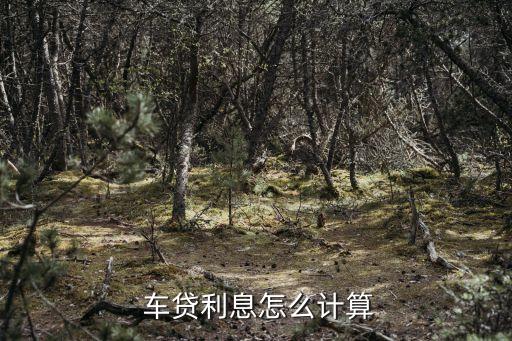 車抵貸哪家銀行利息低(低利息抵押貸款)？ (http://www.xifuyun.com/) 知識(shí)問(wèn)答 第1張