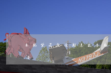 車抵貸是怎么還款的(車抵貸正常還款會有風險嗎)？ (http://www.xifuyun.com/) 知識問答 第2張