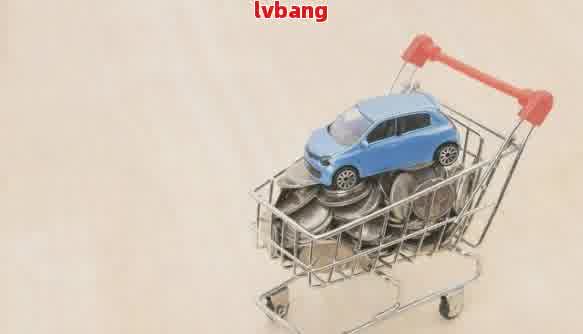 有車輛抵押貸款(抵押貸款車輛有什么影響)？ (http://www.xifuyun.com/) 知識問答 第1張