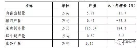 上海私家車抵押(上海抵押車私人抵押)？ (http://www.xifuyun.com/) 知識問答 第2張