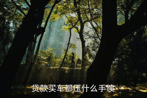 按揭需要抵押機動車登記證嗎(按揭車要抵押登記證書)？ (http://www.xifuyun.com/) 知識問答 第3張