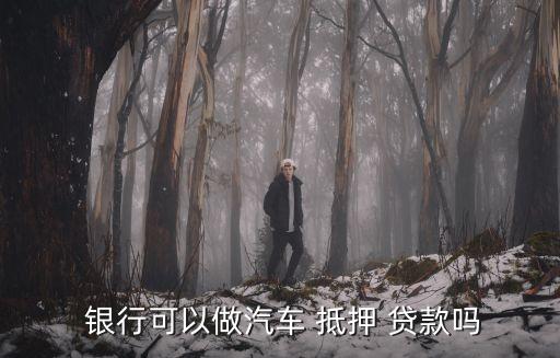 車抵押貸額度(抵押車貸款金額)？ (http://www.xifuyun.com/) 知識問答 第3張
