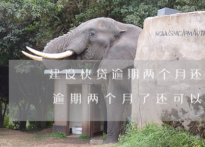 汽車抵押快貸(抵押車貸款有什么坑)？ (http://www.xifuyun.com/) 知識(shí)問答 第1張