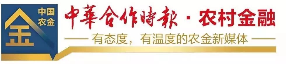 璜涇鎮汽車抵押貸款(專業汽車抵押貸款)？ (http://www.xifuyun.com/) 知識問答 第2張