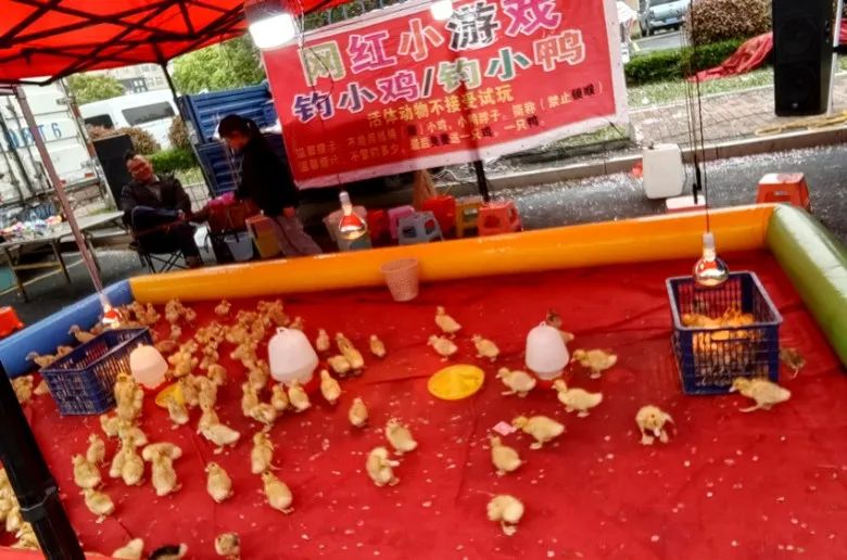 常州車輛抵押貸款(常州抵押貸款車輛怎么過戶)？ (http://www.xifuyun.com/) 知識(shí)問答 第11張