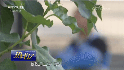 車輛抵押貸款套路(抵押車套路貸怎么報案)？ (http://www.xifuyun.com/) 知識問答 第4張