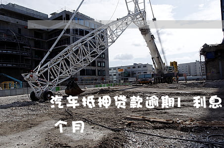 車抵押貸款的利息(抵押車子貸款利息)？ (http://www.xifuyun.com/) 知識問答 第2張