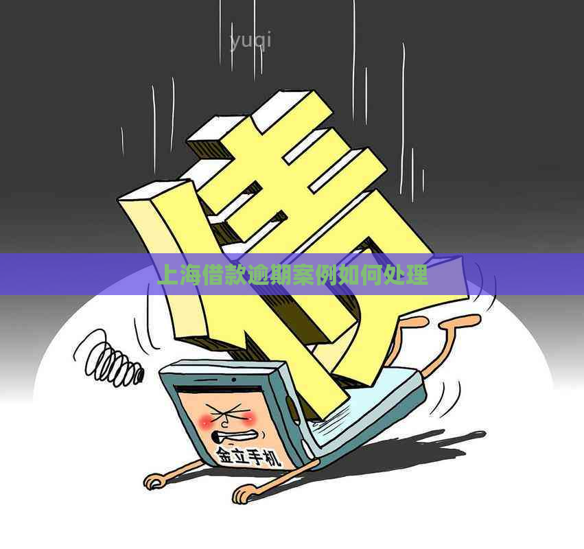 上海民間抵押貸款(個人借貸逾期法律應對)？ (http://www.xifuyun.com/) 知識問答 第1張