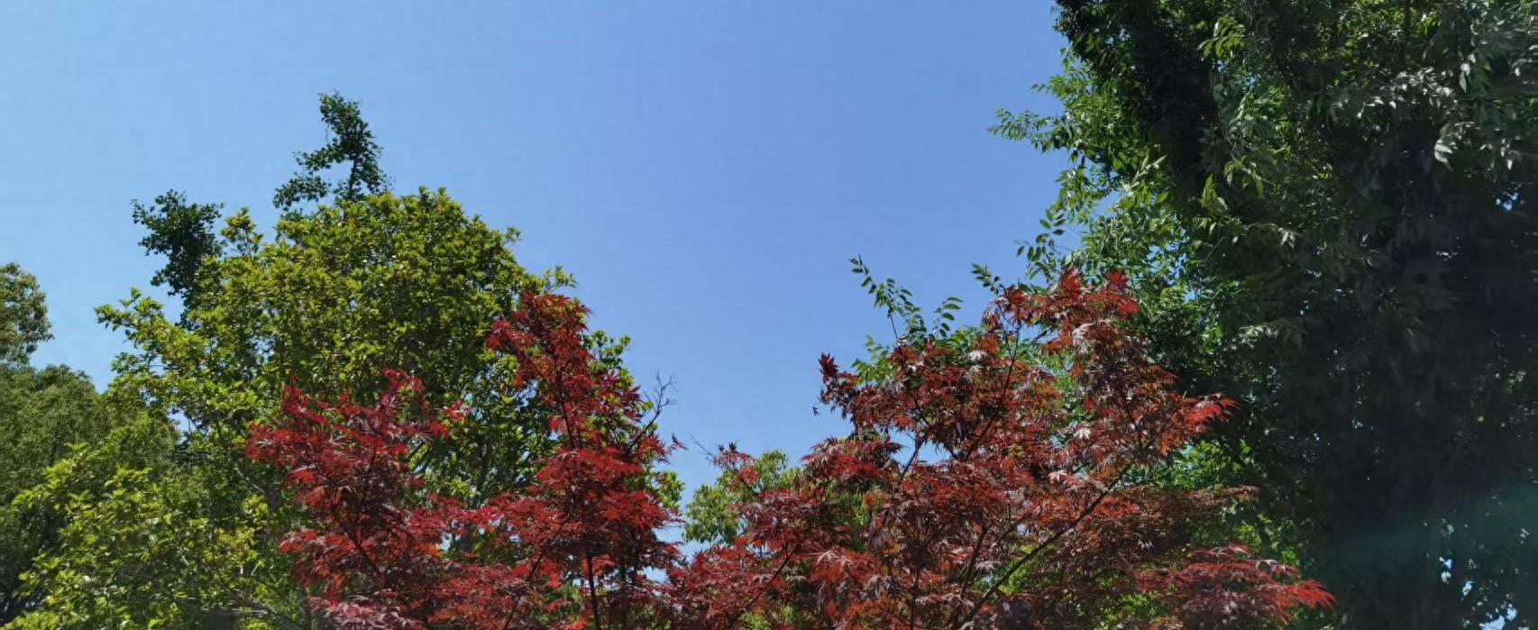 上海房產(chǎn)抵押(婚前婚后房產(chǎn)分割)？ (http://www.xifuyun.com/) 知識問答 第1張