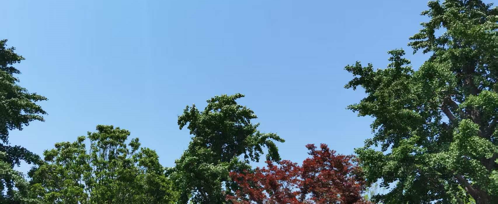 上海房產(chǎn)抵押(婚前婚后房產(chǎn)分割)？ (http://www.xifuyun.com/) 知識問答 第5張