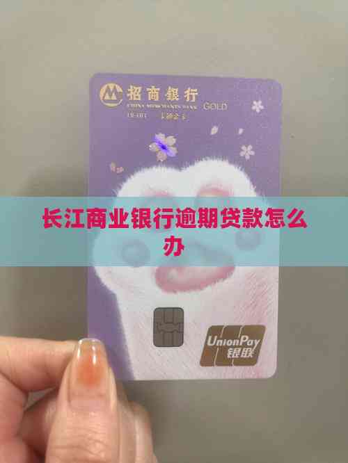 車輛 抵押貸款咨詢(逾期貸款處理方法)？ (http://www.xifuyun.com/) 知識問答 第2張